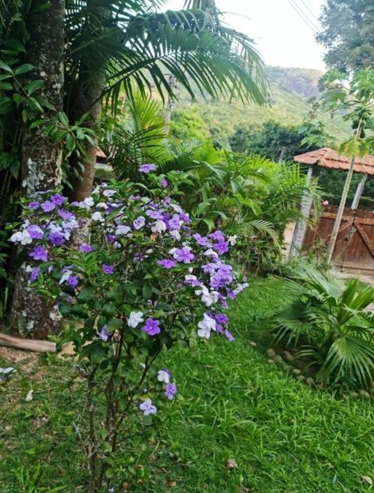 Sitio Borges Petropolis (Rio de Janeiro) Exterior foto